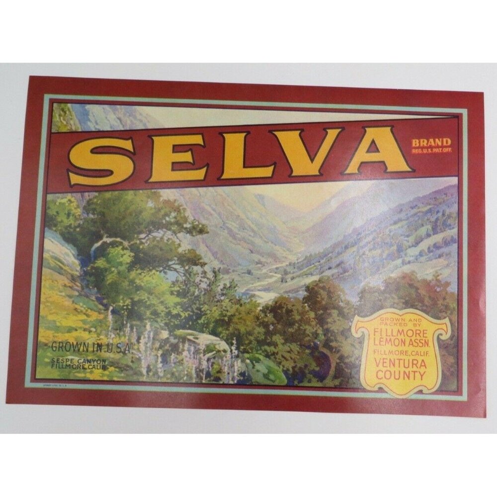 Selva Brand Lemon Crate Label Fillmore Lemon California Vintage Style Art JHE308